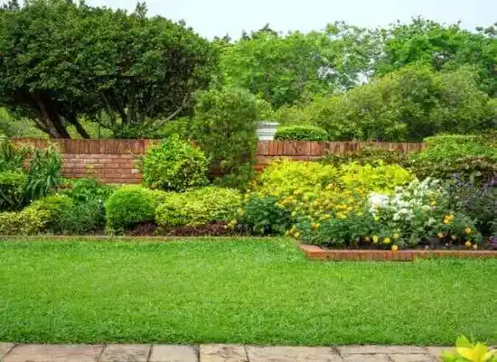 landscaping services Foxfire